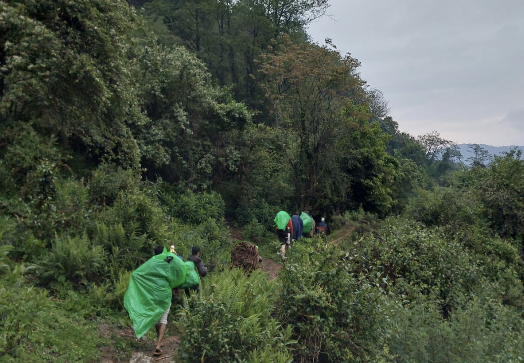 Dawn and deep into the dense jungle