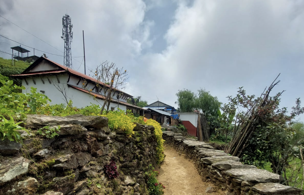 Mad honey hunting in Lamjung, Nepal - cliff climbing for wild honey